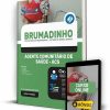 Apostila Pref Brumadinho - Agente Comunitário de Saúde 2022