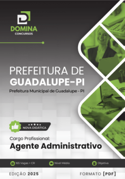 Apostila Agente Administrativo Guadalupe PI 2025