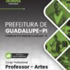 Apostila Professor de Arte Guadalupe PI 2025