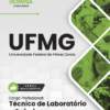 Apostila Técnico de Laboratório Química UFMG 2025 3 Apostila Técnico de Laboratório Química UFMG 2025