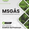Apostila Analista de Processos Organizacionais Direito MSGás 2025