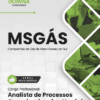 Apostila Analista de Processos Organizacionais Negócios MSGás 2025