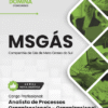 Apostila Analista de Processos Organizacionais Organizacional MSGás 2025