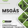 Apostila Analista de Processos Organizacionais Planejamento Estratégico MSGás 2025