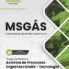Apostila Analista de Processos Organizacionais Tecnologia da Informação MSGás 2025