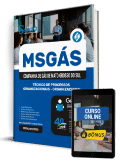 Apostila MSGÁS 2025 - Técnico de Processos Organizacionais - Organizacional