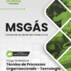 Apostila Técnico de Processos Organizacionais Tecnologia da Informação MSGás 2025