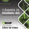 Apostila Editor de Vídeo Câmara Goiânia GO 2026
