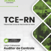 Apostila Auditor de Controle Externo Direito TCE RN 2026 4 Apostila Auditor de Controle Externo Direito TCE RN 2026