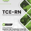 Apostila Auditor de Controle Externo Tecnologia da Informação TCE RN 2026 5 Apostila Auditor de Controle Externo Tecnologia da Informação TCE RN 2026