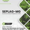 Apostila Gestor Nível II Grau A Direito Seplag MG 2026
