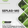 Apostila Gestor Nível II Grau A TI Redes Seplag MG 2026