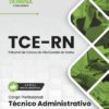 Apostila Técnico Administrativo TCE RN 2026 4 Apostila Técnico Administrativo TCE RN 2026