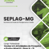 Apostila Gestor Nível II Grau A TI Seplag MG 2026