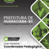 coordenador pedagogico escolar