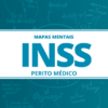Mapas Mentais: 267 Mapas Mentais para INSS - Perito Médico Federal para Concursos (PDF)