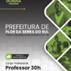 Professor 30H Flor da Serra do Sul PR | Apostila 2026
