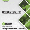 Programador Visual UNICENTRO PR | Apostila 2026