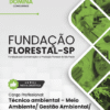 Técnico em Meio Ambiente Fundação Florestal SP | Apostila 2026