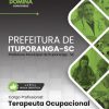 Terapeuta Ocupacional Ituporanga SC | Apostila 2026 2 Terapeuta Ocupacional Ituporanga SC | Apostila 2026