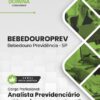 Analista de Planejamento e Gestão BebedouroPREV SP | Apostila 2026 3 Analista de Planejamento e Gestão BebedouroPREV SP | Apostila 2026