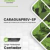 Contador CaraguaPrev SP | Apostila 2026 2 Contador CaraguaPrev SP | Apostila 2026