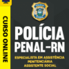 Curso Preparatório: Polícia Penal-RN - Especialista em Assistência Penitenciária - Assistente Social | Completo 2026 2 Curso Preparatório: Polícia Penal-RN - Especialista em Assistência Penitenciária - Assistente Social | Completo 2026