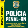 Curso Preparatório: Polícia Penal-RN - Especialista em Assistência Penitenciária - Terapeuta Ocupacional | Completo 2026 3 Curso Preparatório: Polícia Penal-RN - Especialista em Assistência Penitenciária - Terapeuta Ocupacional | Completo 2026