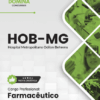 Farmacêutico Hospital Odilon Behrens HOB MG | Apostila 2026