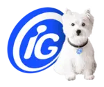 Portal IG destaca Guru dos Concursos