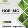 Terapeuta Ocupacional Hospital Odilon Behrens HOB MG | Apostila 2026 2 Terapeuta Ocupacional Hospital Odilon Behrens HOB MG | Apostila 2026