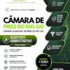 Assistente Administrativo Câmara Pires do Rio GO | Apostila 2026