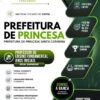 Professor de Ensino Fundamental Anos Iniciais Princesa SC | Apostila 2026 2 Professor de Ensino Fundamental Anos Iniciais Princesa SC | Apostila 2026